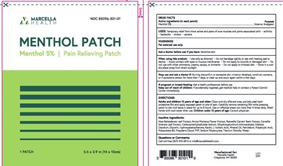 Menthol 5 Pouch.jpg (Menthol 5 Pouch)